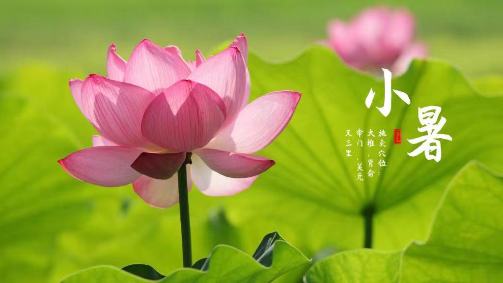 微信圖片_20230707104112.jpg